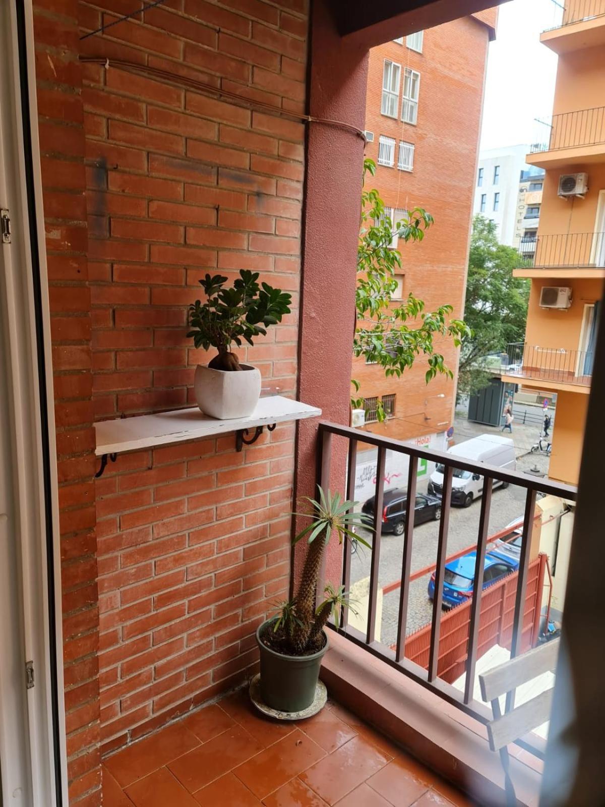 Ferienwohnung Plaza De Armas By Rami Sevilla Exterior foto